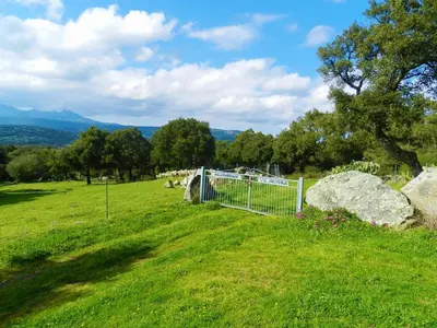 Paesaggio naturale nelle vicinanze del bed & breakfast