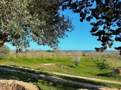 Paesaggio naturale nelle vicinanze della casa vacanze