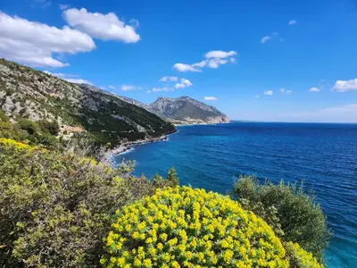 Paesaggio naturale nelle vicinanze dell'appartamento