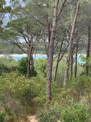 Paesaggio naturale nelle vicinanze dell'appartamento