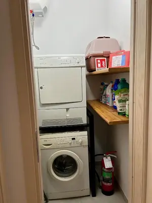 Planimetria di Casa Su Romasinarzu - IUN S3816