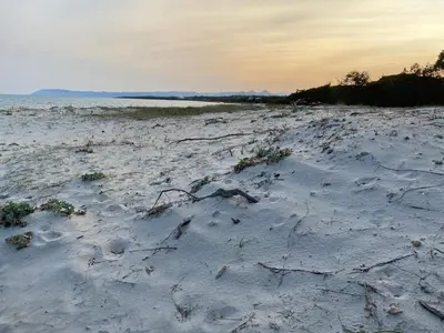 Paesaggio naturale nelle vicinanze dell'appartamento