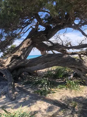 Paesaggio naturale nelle vicinanze dell'appartamento