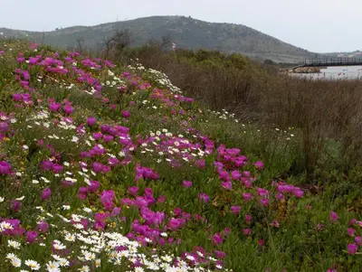 Paesaggio naturale nelle vicinanze dell'appartamento