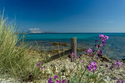Paesaggio naturale nelle vicinanze della casa vacanze