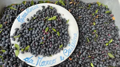 Cibo presso il bed & breakfast o nelle vicinanze