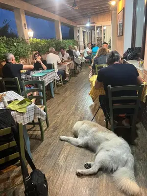Ospiti di Da Marco&Caterina con animali domestici