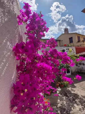 Planimetria di B&B Mes' Agustu