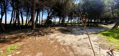 Paesaggio naturale nelle vicinanze della casa vacanze