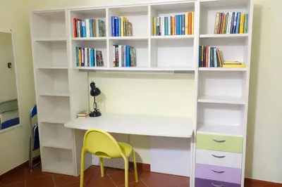 Biblioteca nell'appartamento