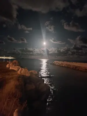Paesaggio naturale nelle vicinanze dell'appartamento