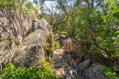 Paesaggio naturale nelle vicinanze dell'appartamento