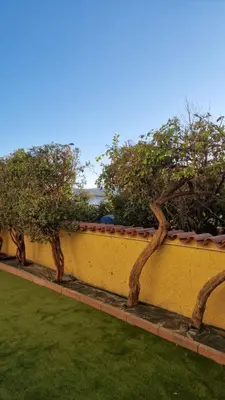 Giardino di Blu Caletta - waterfront apartment with garden
