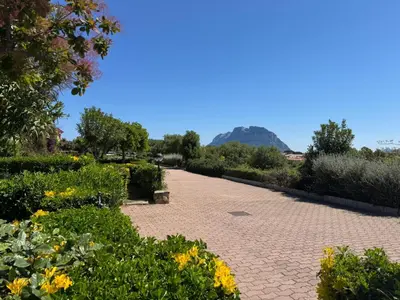 Paesaggio naturale nelle vicinanze dell'appartamento