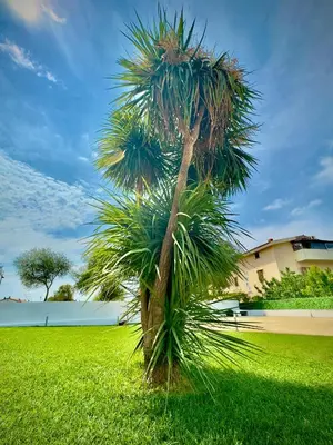 Paesaggio naturale nelle vicinanze del bed & breakfast