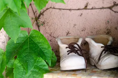 Planimetria di bbolbia - bed and breakfast