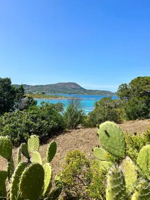 Paesaggio naturale nelle vicinanze dell'appartamento