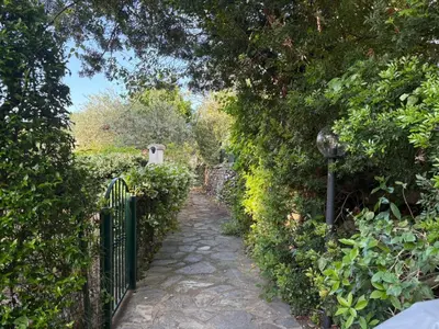 Giardino di Alga House
