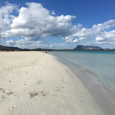 Casa Pamela - Villa con piscina - San Teodoro