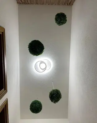 Planimetria di Orchidea