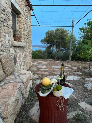 Bevande di L'isola che non c'è NG Collection