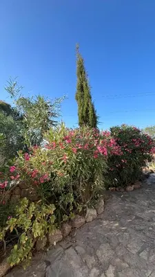 Giardino di Tenuta Eike