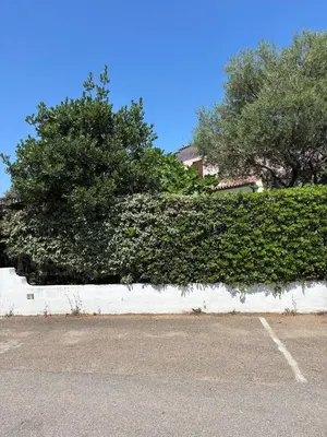Planimetria di La Pavoncella
