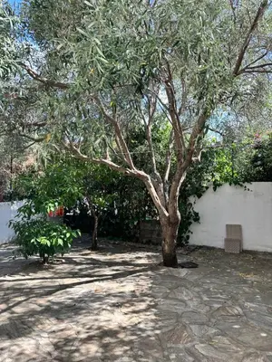 Planimetria di Sirena home