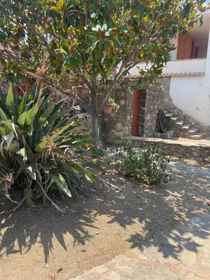 Giardino di Villa Mustaro R