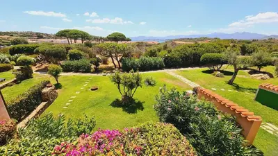Giardino di Stella di Coda Cavallo