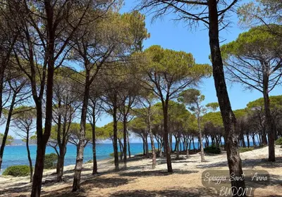 Paesaggio naturale nelle vicinanze dell'appartamento