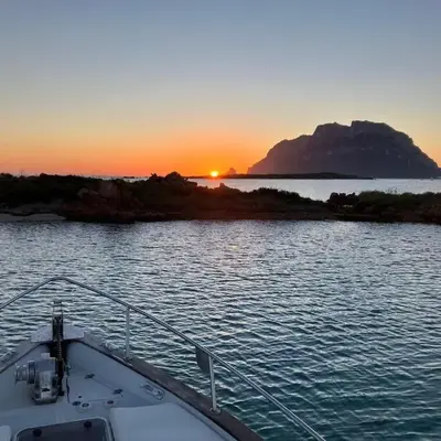 Wild Escape Island Bay Experience