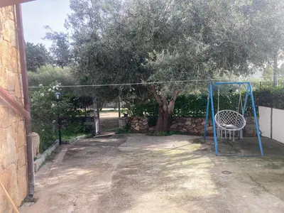 Planimetria di Olivastro