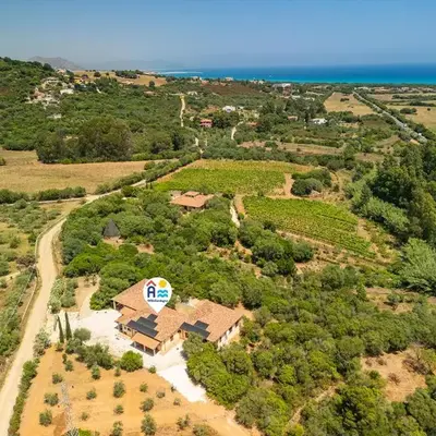 Euforbia Complex