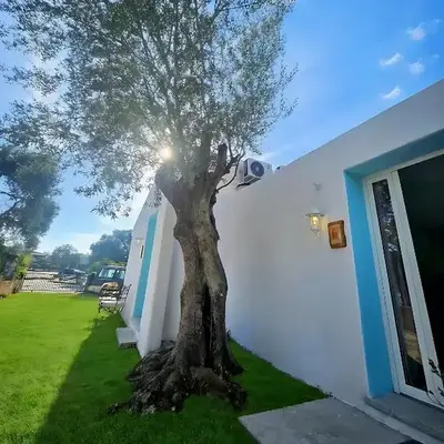Il Giardino delle Fate