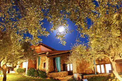 Giardino di Residence in San Teodoro just 850 mt from the beach