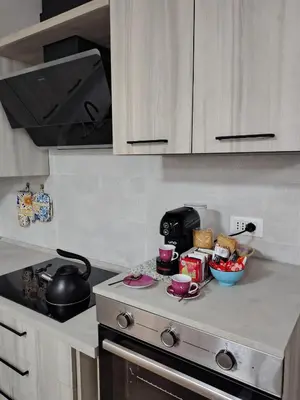 Cucina o angolo cottura di G&S Belvedere Apartment - Nuoro