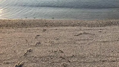 Paesaggio naturale nelle vicinanze dell'appartamento