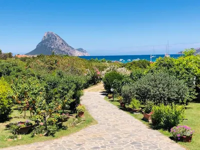 Paesaggio naturale nelle vicinanze dell'appartamento