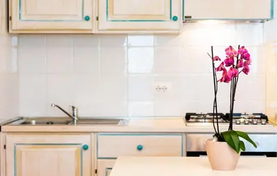 Cucina o angolo cottura di Bilo 4