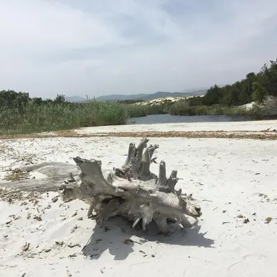 Paesaggio naturale nelle vicinanze della casa vacanze