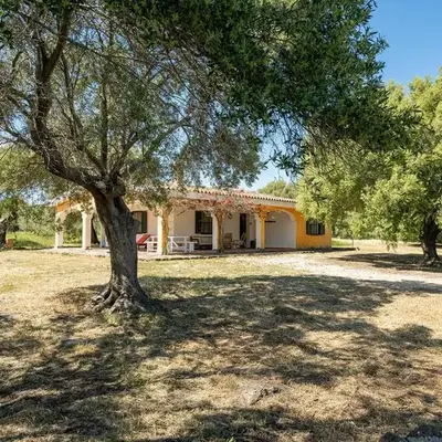 Gorgeous Home In Orosei With Wifi