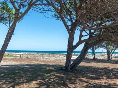Paesaggio naturale nelle vicinanze dell'appartamento