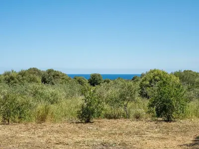 Paesaggio naturale nelle vicinanze dell'appartamento