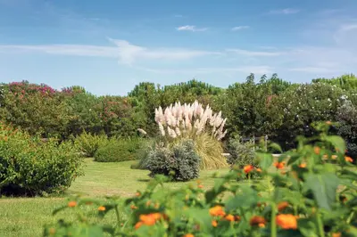 Giardino di Hotel Marina Garden