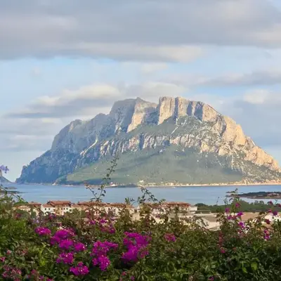 Villa Vista Tavolara