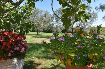 Giardino di Casa vacanze Capo Comino