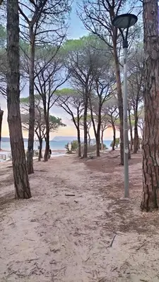 Paesaggio naturale nelle vicinanze della casa vacanze