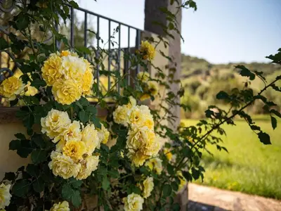 Giardino di A cozy apartment surrounded by the nature