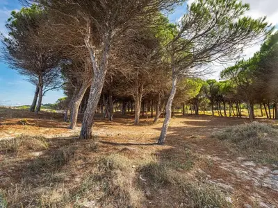 Paesaggio naturale nelle vicinanze dell'appartamento